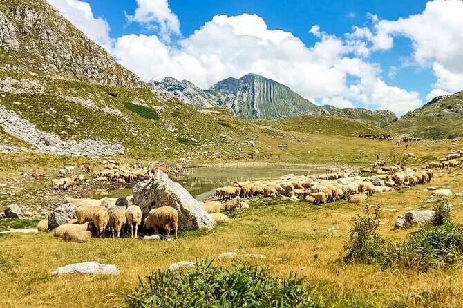 1-Day Montenegro Hiking Tour to Durmitor National Park - The Durmitor hike: what to expect from 4 km with real effort