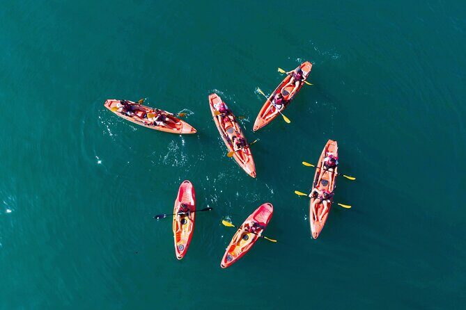 3 Hours Kayaking in Kotor Bay in Montenegro - Key Things You’ll Actually Care About on This Kotor Bay Kayak Trip