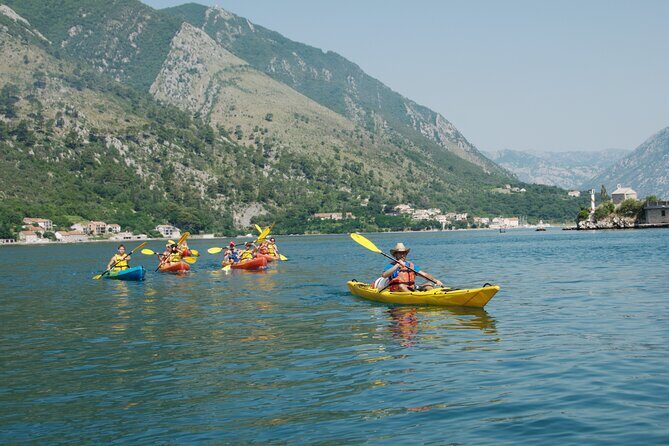 Bay of Kotor: 2.5-Hour Kayak Tour - Swim or Snorkel Time in the Adriatic