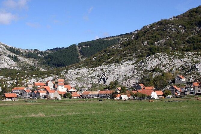 Bike tour - Panoramic downhill from Njeguši and Kotor serpentines - Meeting at Kotor Town Walls: start time you can actually handle
