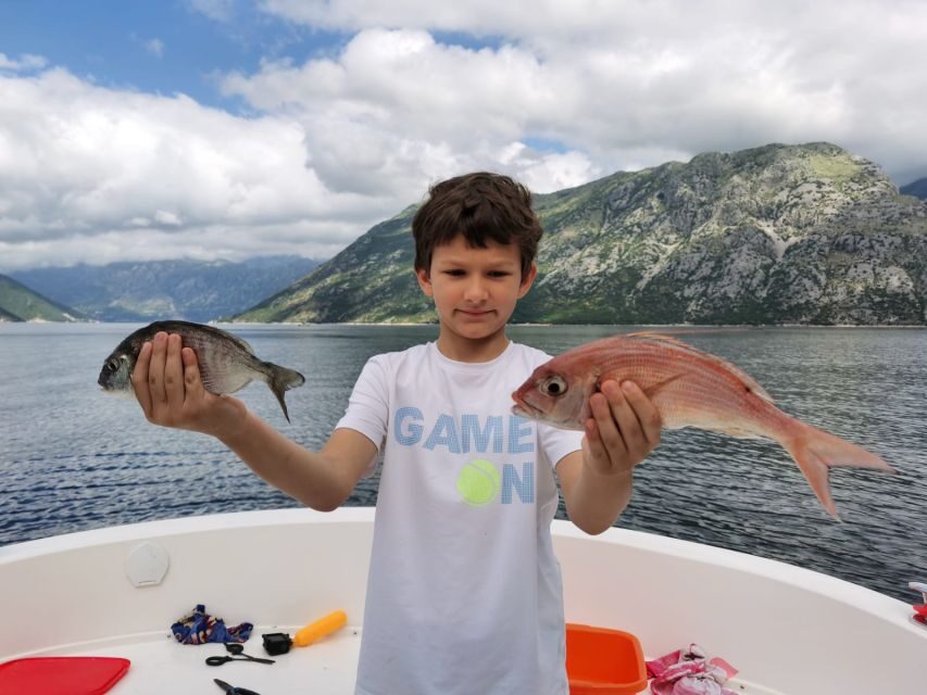From Bay of Kotor: Blue Cave Private Speedboat Tour - Best fit: who will love this day, and who should skip it