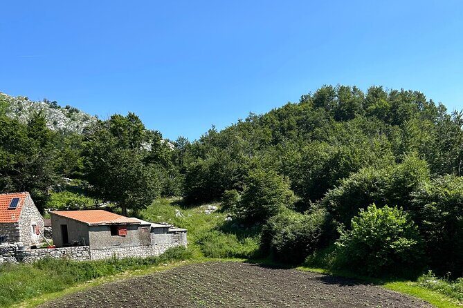 Hidden Montenegro by E-Bike, via The Kotor Cable Car to 1300M - Majstori abandoned village: free wandering in a place most people skip