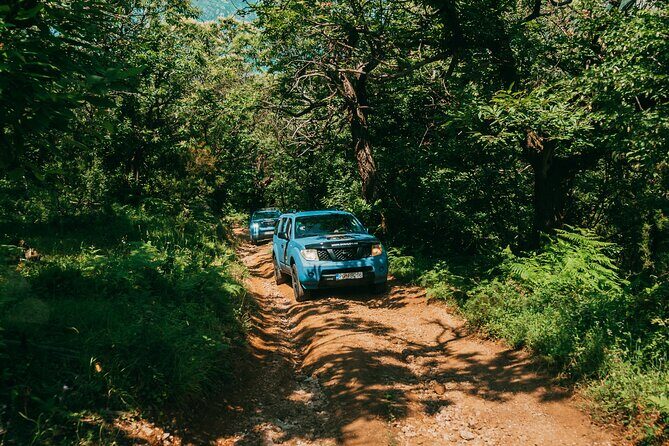 Kotor Jeep Tour: Hidden Stone Village & Food Tasting - Donji Stoliv to Gornji Stoliv: the coast-to-forest switch