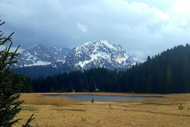 Kotor Tour to Durmitor - Black Lake & Tara River Bridge - Stop 3: Optional Tara zip line over the canyon