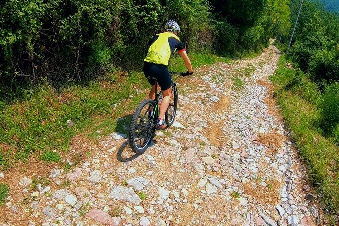 Mountain Biking on Vrmac peninsula - Panoramic view on Kotor bay - The Vrmac Peninsula Ride Feels Like a Big View Trip, Not a Box-Check Tour