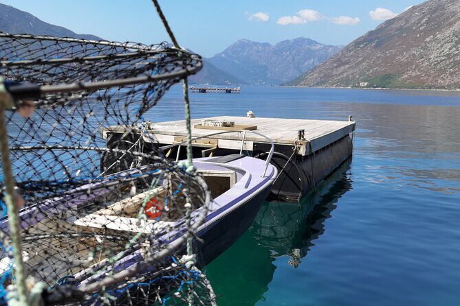 Mussel & Oyster Farm with Perast visitation Private Tour - Should you book the Mussel & Oyster Farm with Perast visitation private tour?