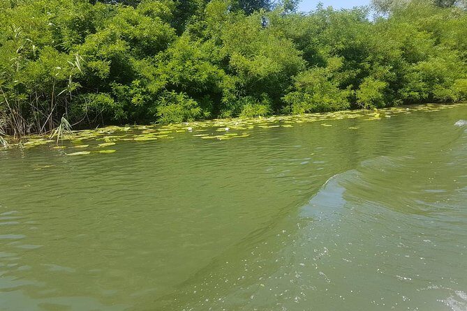National park Skadar Lake (Private tour) - The boat trip on Skadar Lake: your best photo time and your best quiet time