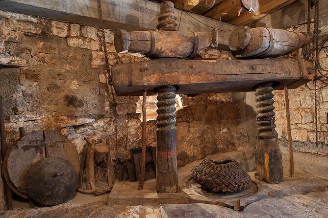 Olive oil farm to fork experience & short walking tour of Kotor - Olive Oil Can Taste Like Time Travel: Why This Day Works