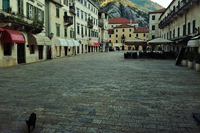 Port of Kotor - Kotor-Perast-Our lady of the rocks private tour - Who This Tour Fits Best (and Who Might Want a Longer Option)