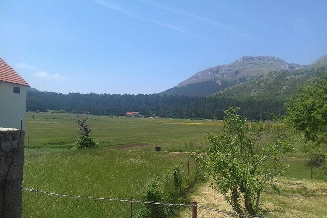 Private National Park Lovcen with food and wine tasting - Price and what you’re really paying for ($210.25 per person)
