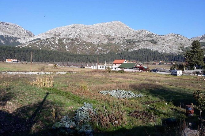 Private tour: Homemade food and wine tasting at my family home - Key highlights at a glance