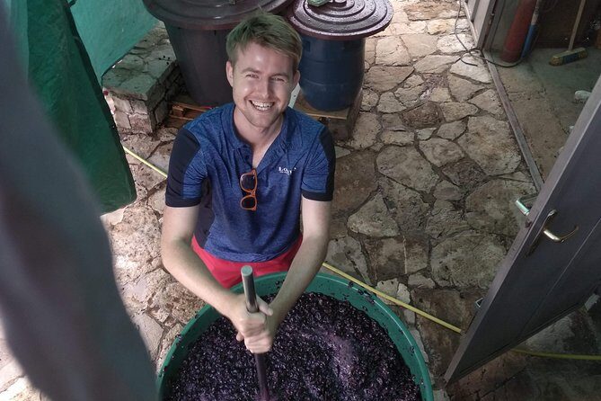 Wine tasting and magical tour from Kotor, Budva, Tivat (Lovcen,Skadar lake) - Price and Value for a 7-Hour Private Group Tour